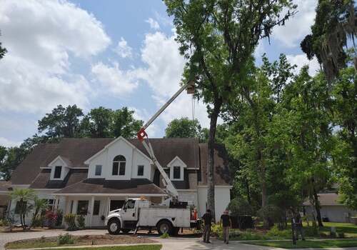 “The Magnolia Tree Removal Project: A Case Study”